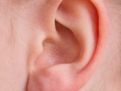 ear-2372090_640